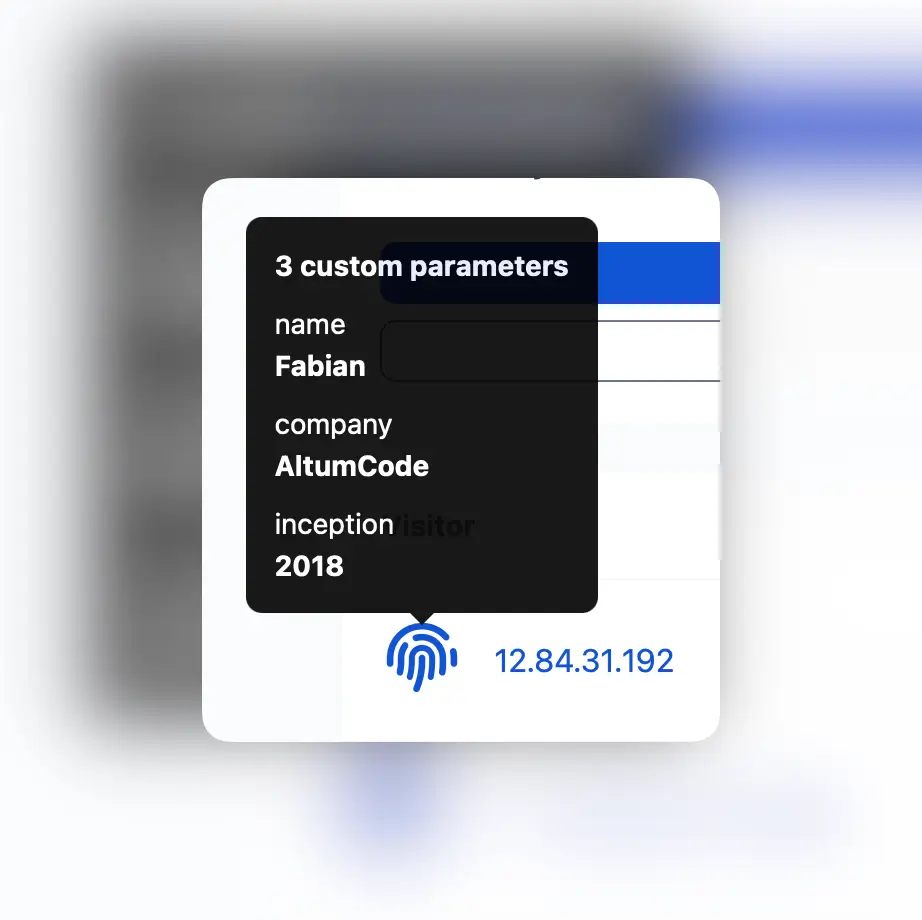 66analytics visitor page showing custom parameters